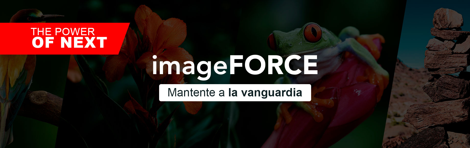 Canon imageFORCE Desktop